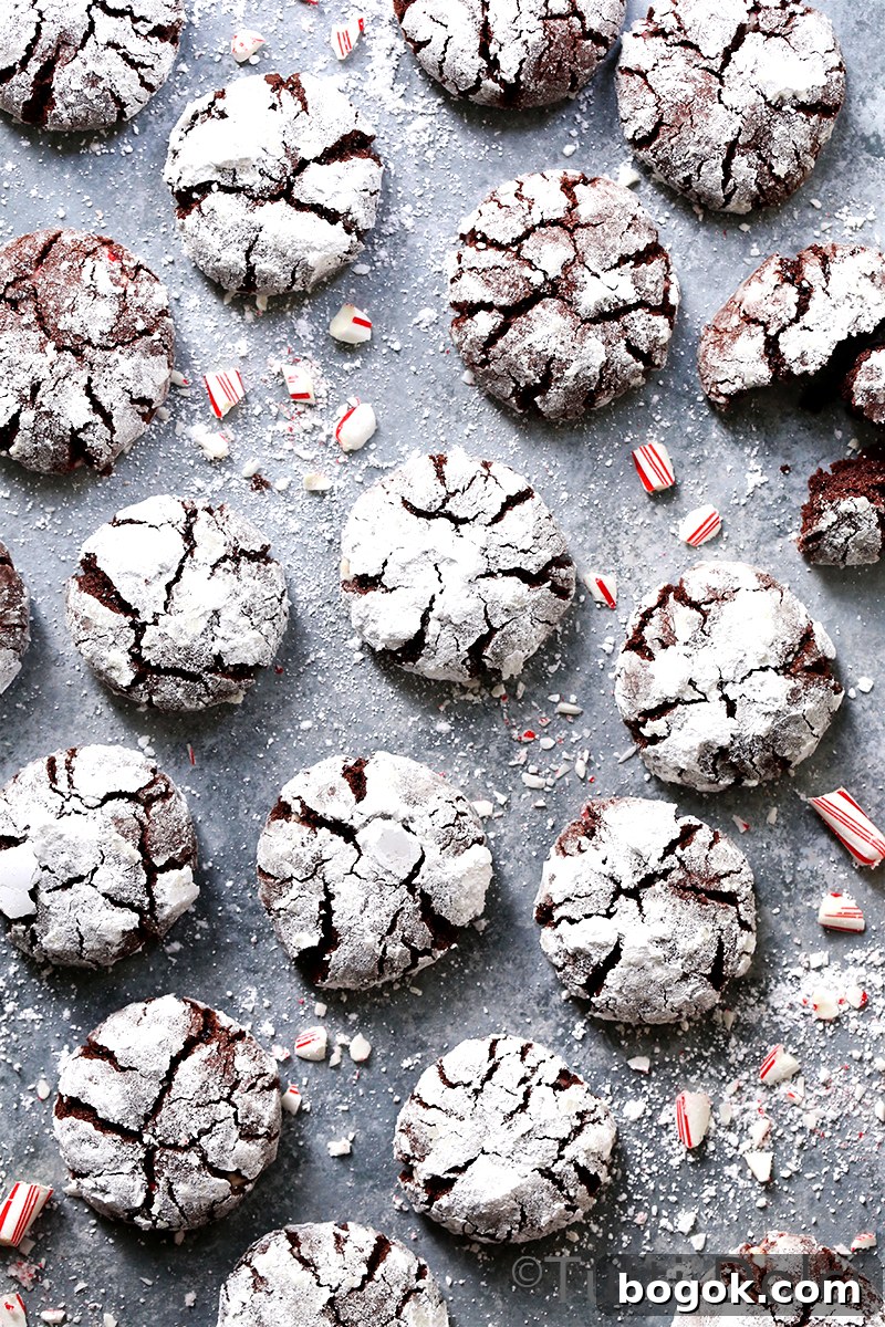 Chocolate Peppermint Crinkle Cookies Recipe for the Holidays 2 Chocolate Peppermint Crinkle Cookies