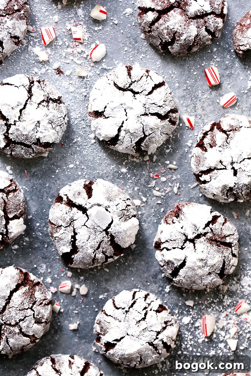 Chocolate Peppermint Crinkle Cookies Recipe for the Holidays 4 Chocolate Peppermint Crinkle Cookies