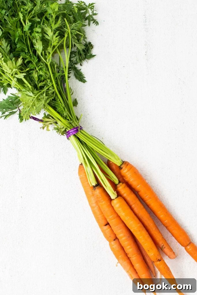 A bunch of carrots shown with the greens still attached.