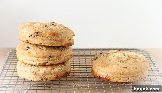 Homemade Baked Cinnamon Raisin English Muffins 6 Cinnamon Raisin English Muffins