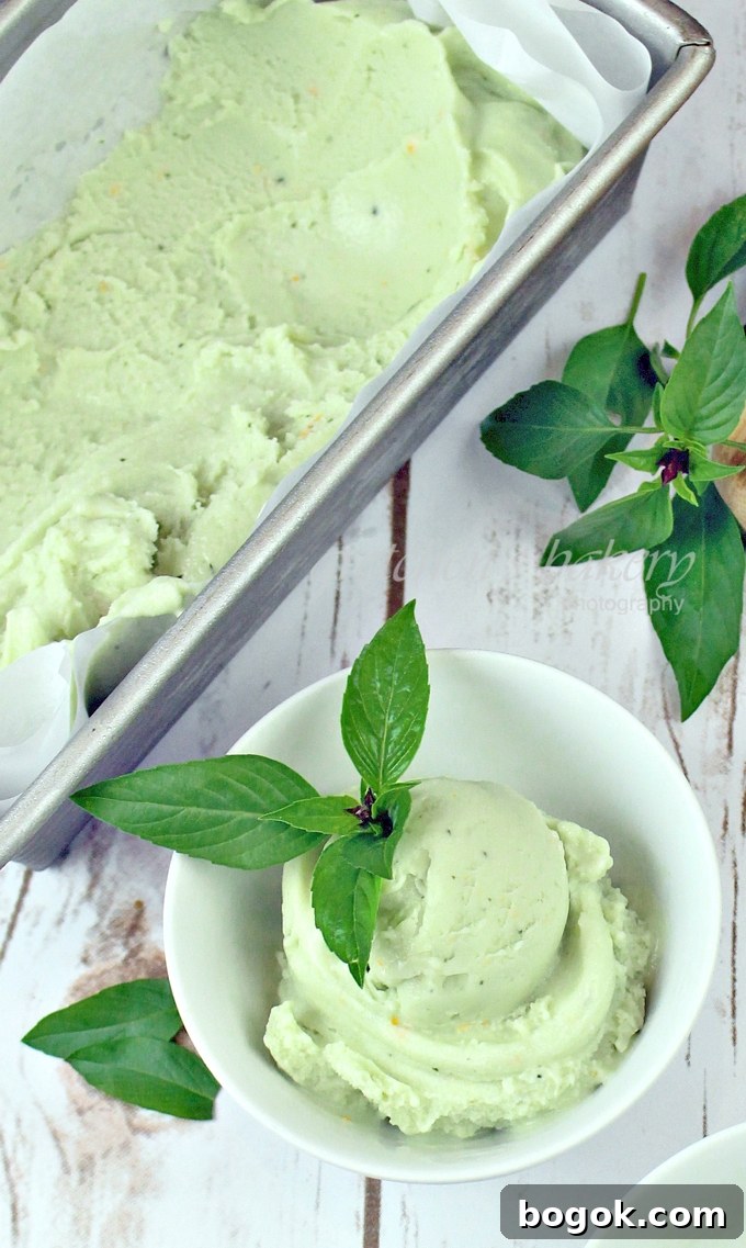 Creamy Basil Ice Cream Recipe: Refreshing Herb Gelato Guide 2 Basil Ice Cream~ Vegan