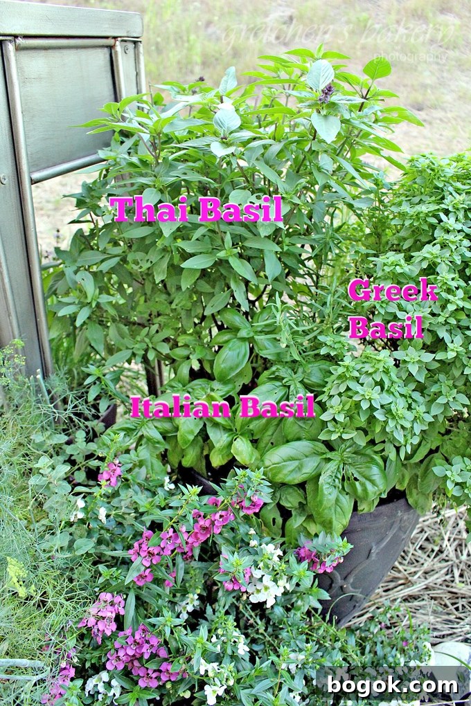 Creamy Basil Ice Cream Recipe: Refreshing Herb Gelato Guide 3 Basil Ice Cream~ Vegan