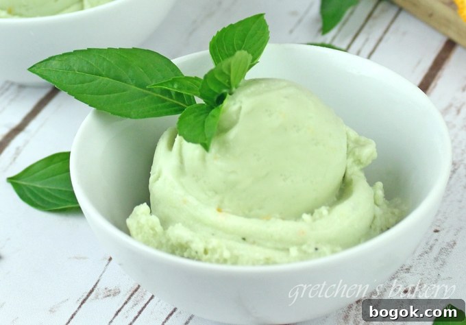 Creamy Basil Ice Cream Recipe: Refreshing Herb Gelato Guide 5 Basil Ice Cream~ Vegan