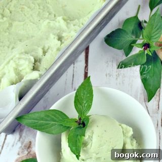 Basil Ice Cream~ Vegan