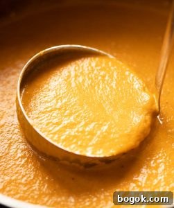 ladle in pot of soup