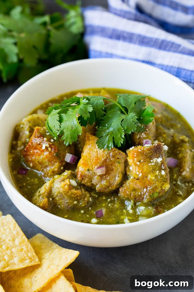 A bowl of pork chile verde garnished with red onion and cilantro. A bowl of pork chile verde garnished with red onion and cilantro.