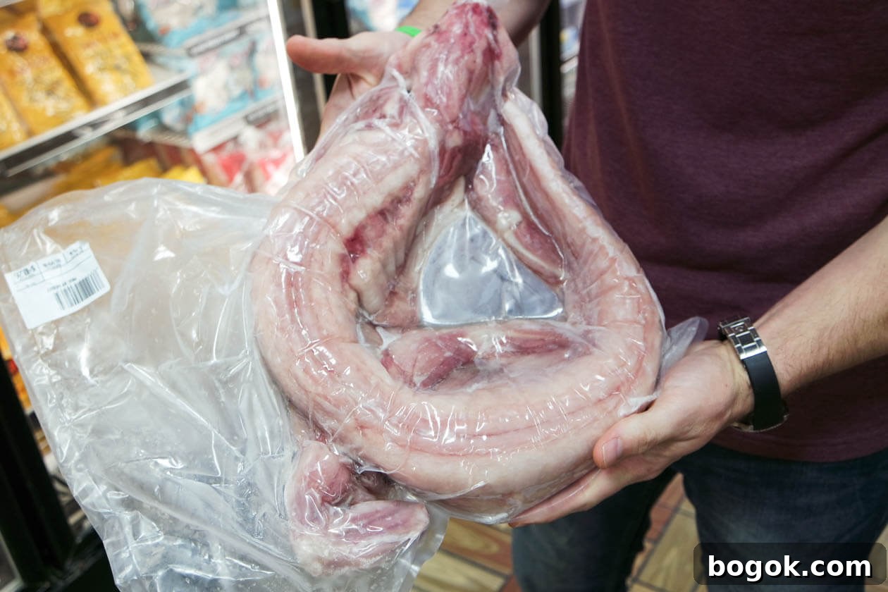 skinned gator