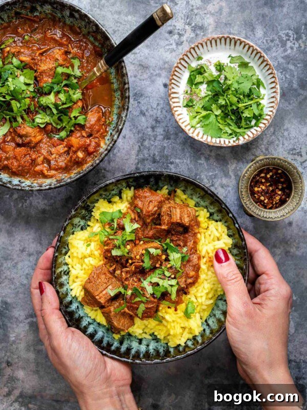 A person holds a bowl of beef curry over yellow rice