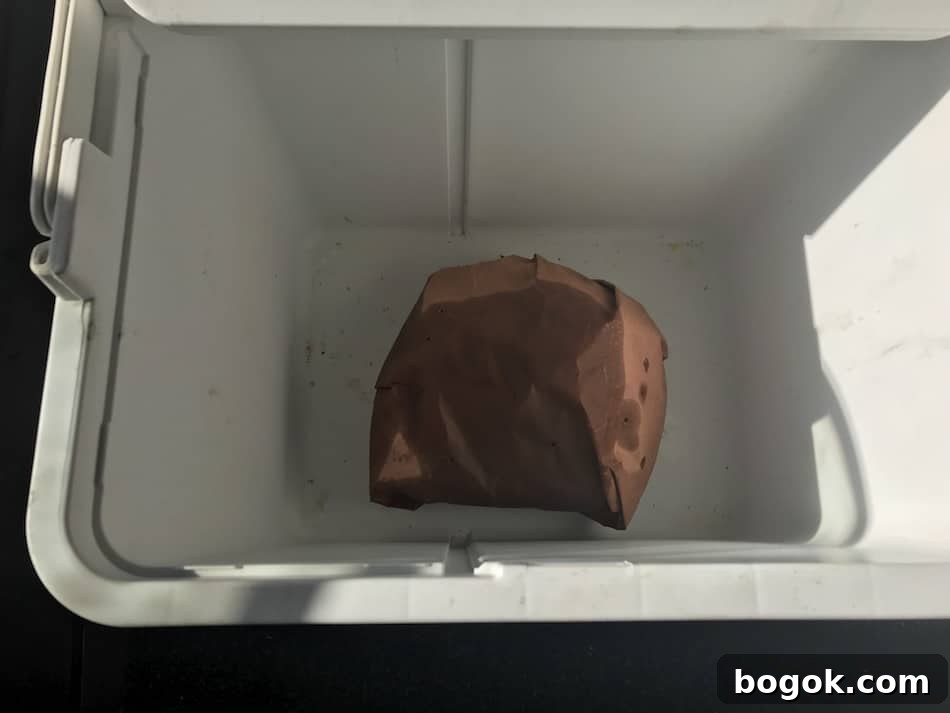 Weber Smokey Mountain Smoked Brisket: Pitmaster Tips for Perfect Smoke 5 img 3547 4