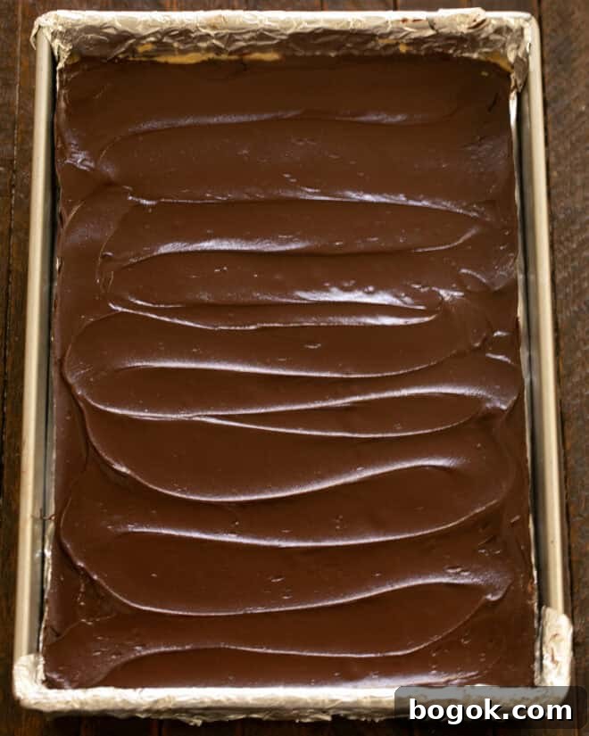 Peanut Butter Truffle Brownies Recipe — Decadent Chocolate Treat 12 img 357 12