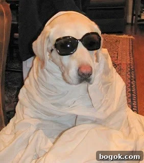 Peanut Butter Truffle Brownies Recipe — Decadent Chocolate Treat 14 A dog dressed up in glasses and a sheet