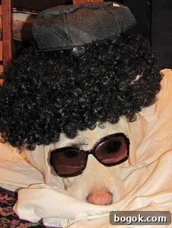 Peanut Butter Truffle Brownies Recipe — Decadent Chocolate Treat 16 Yellow lab in glasses and wig
