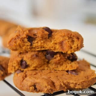 cropped-pumpkin-cookies-with-spice-cake-mix-16-1.jpg
