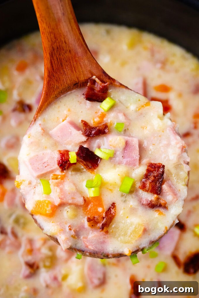 Creamy Slow Cooker Ham & Potato Soup Recipe 11 A ladle of creamy slow cooker ham and potato soup.