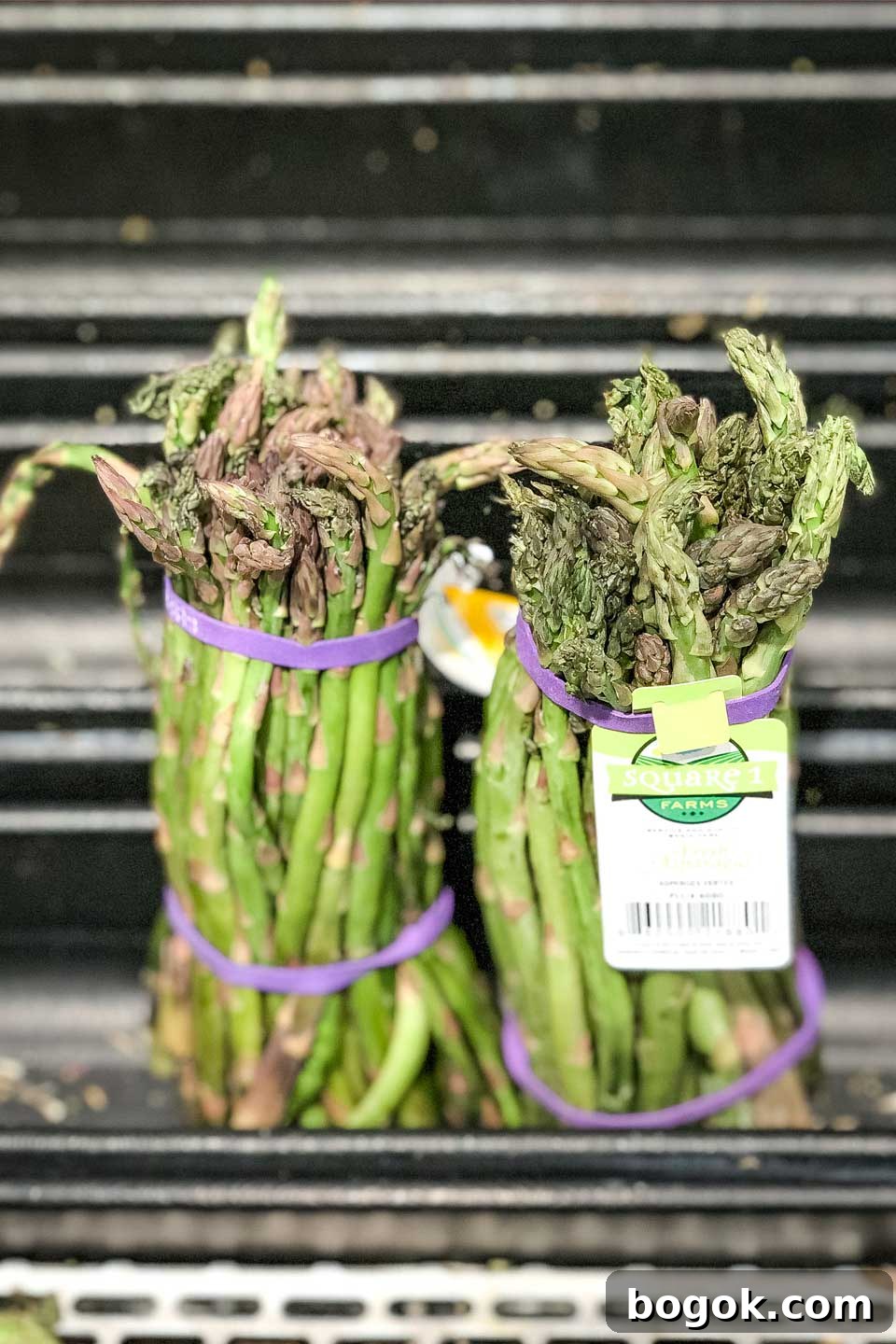 Two bunches of asparagus held together with purple rubber bands and sitting in the little water troughs in a grocery store display.