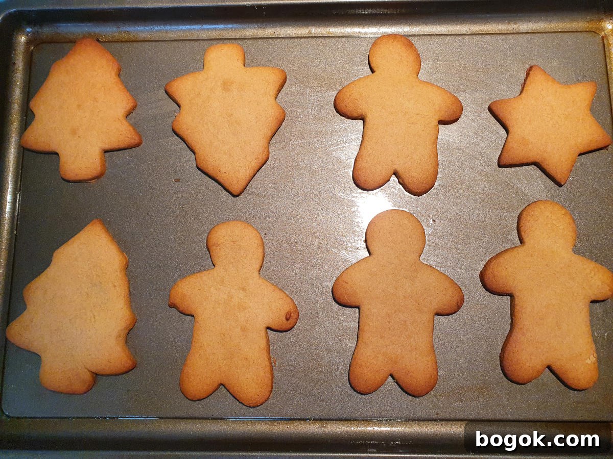 baked cookies on a try showing edges starting to do golden brown.