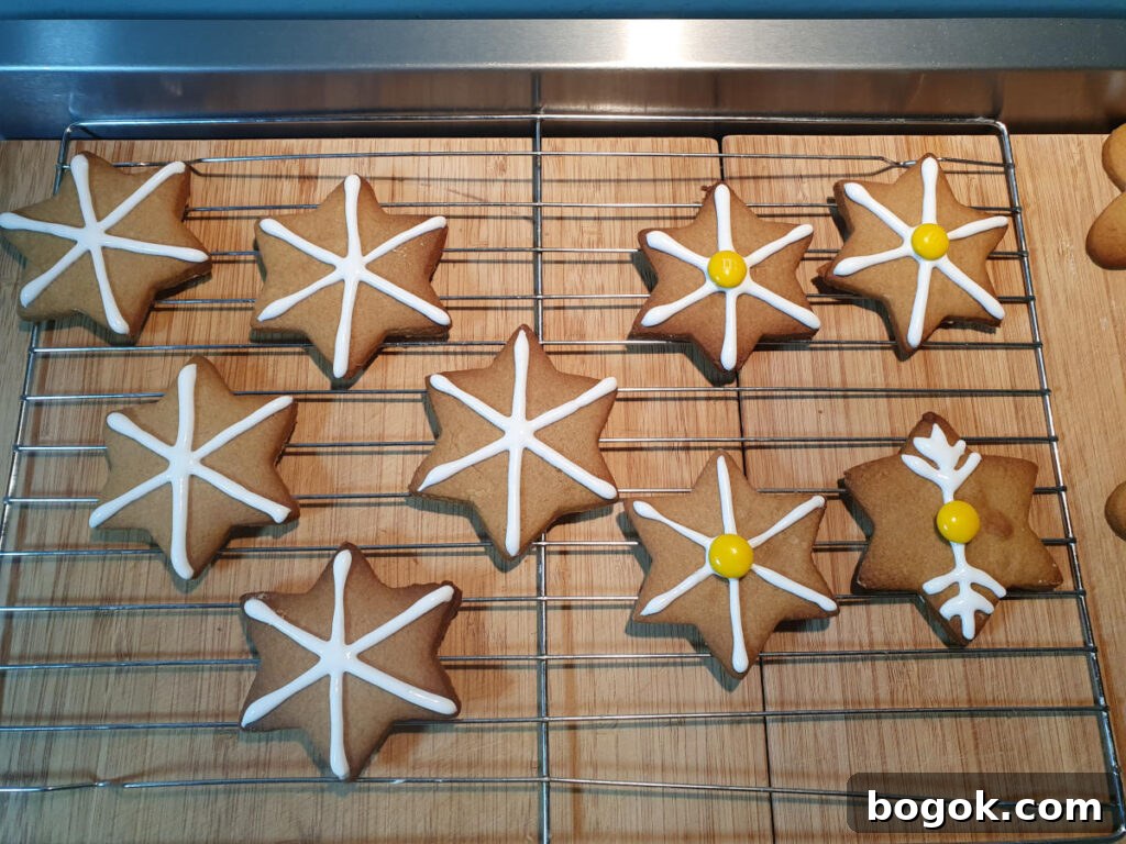 decorated gingerbread stars on wire rack drying.