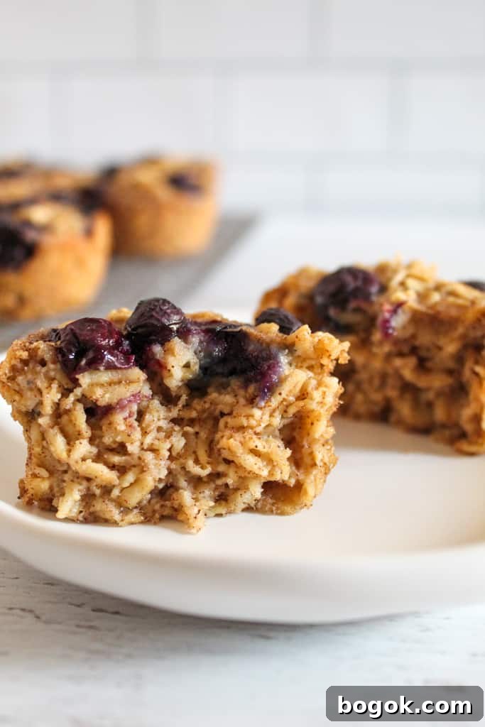 up close of a muffin sitting on a white plate