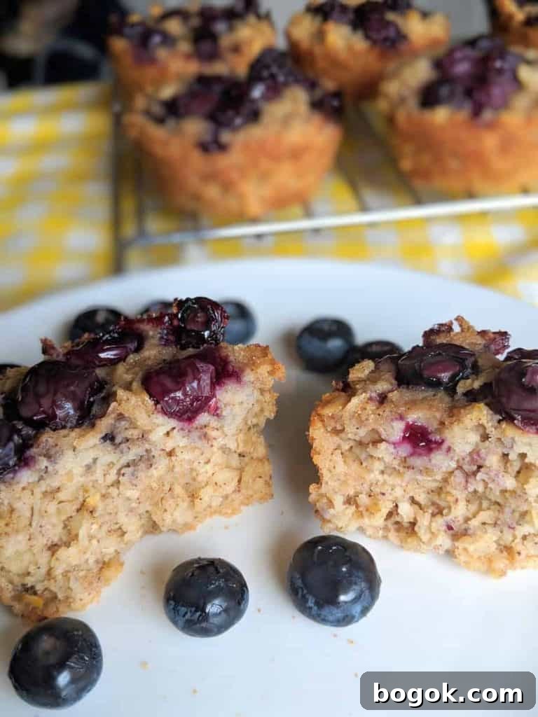 gluten free blueberry oatmeal muffins inside