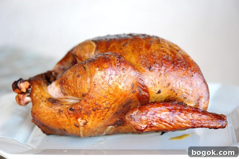 7 Champion Pitmaster Tips to Perfect Your Thanksgiving Turkey 2 smoked turkey on white plate with white background