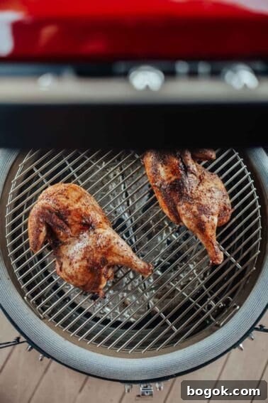 Top view of two whole chickens being grilled on a circular metal grill with a red exterior.