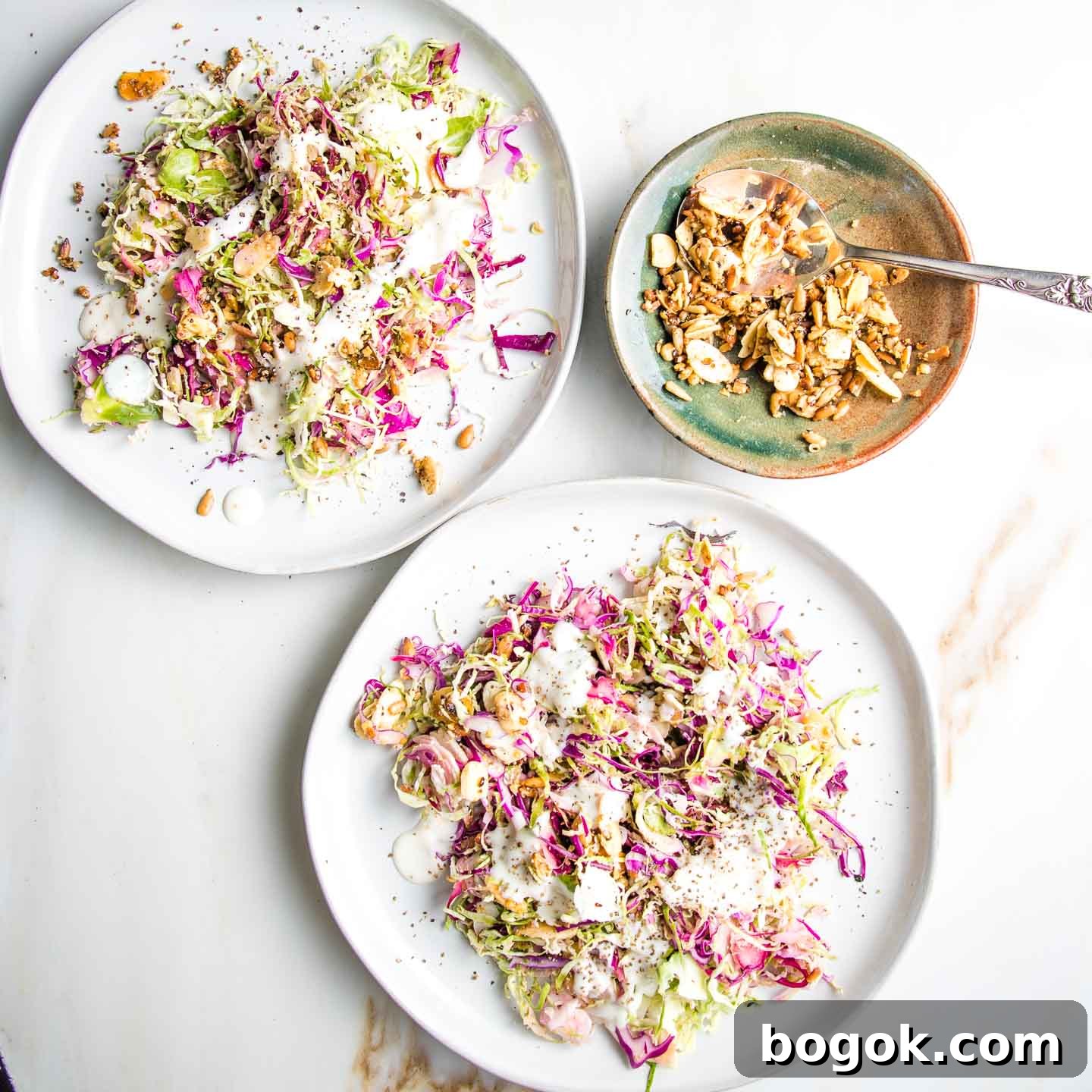 Brussels Sprouts Salad on two white plates with colorful red cabbage, drizzled with a creamy, dairy-free dressing and some toasted nuts/seeds with a little bowl of nuts and seeds and a spoon. 
