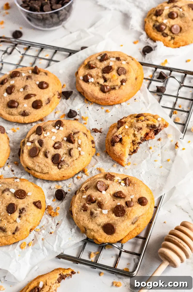 Golden honey chocolate chip cookies full of dark brown chocolate chips.