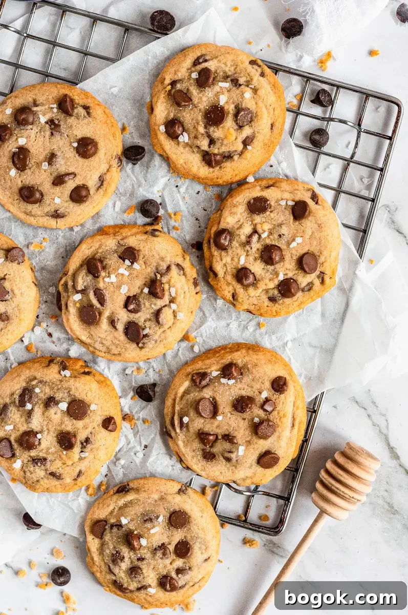 Golden honey chocolate chip cookies full of dark brown chocolate chips.
