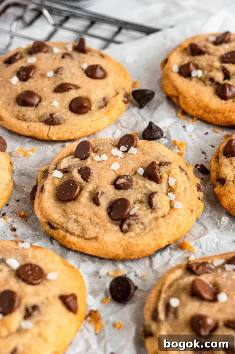 Golden honey chocolate chip cookies full of dark brown chocolate chips.