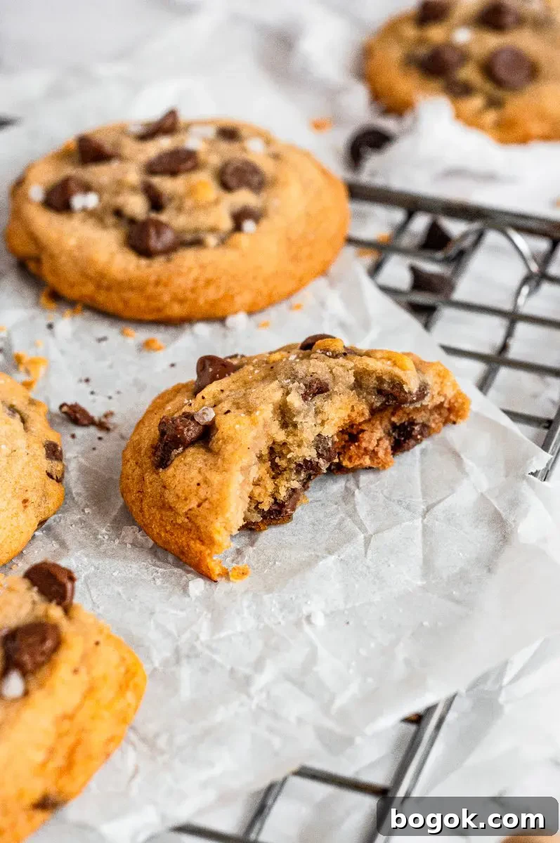 Golden honey chocolate chip cookies full of dark brown chocolate chips. The closest cookie has been half eaten and shows you the inside chewy cookie texture.
