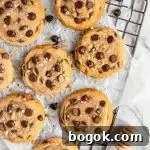 Golden honey chocolate chip cookies full of dark brown chocolate chips.