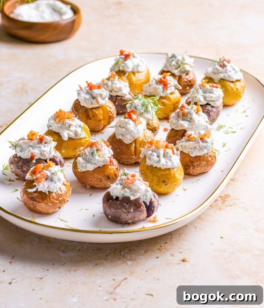 dill served with baby potatoes on a white plate 