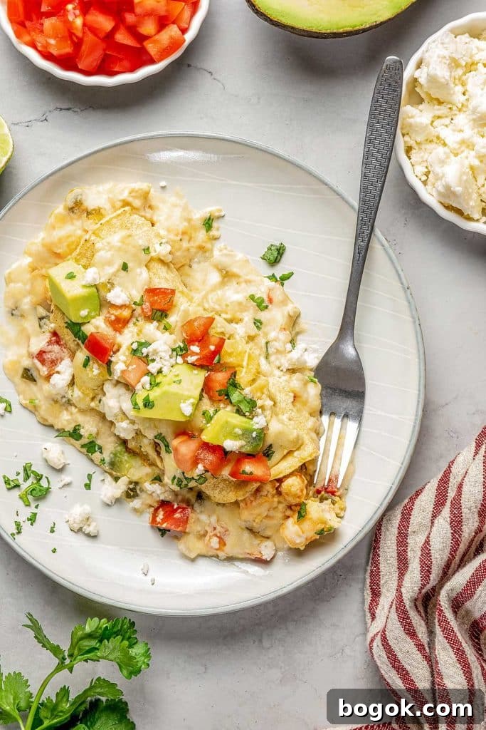 creamy shrimp enchilada on a white plate