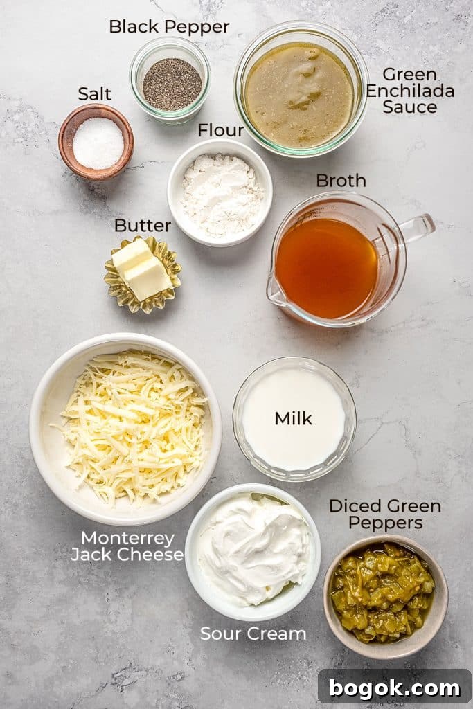 ingredients to make enchilada sauce