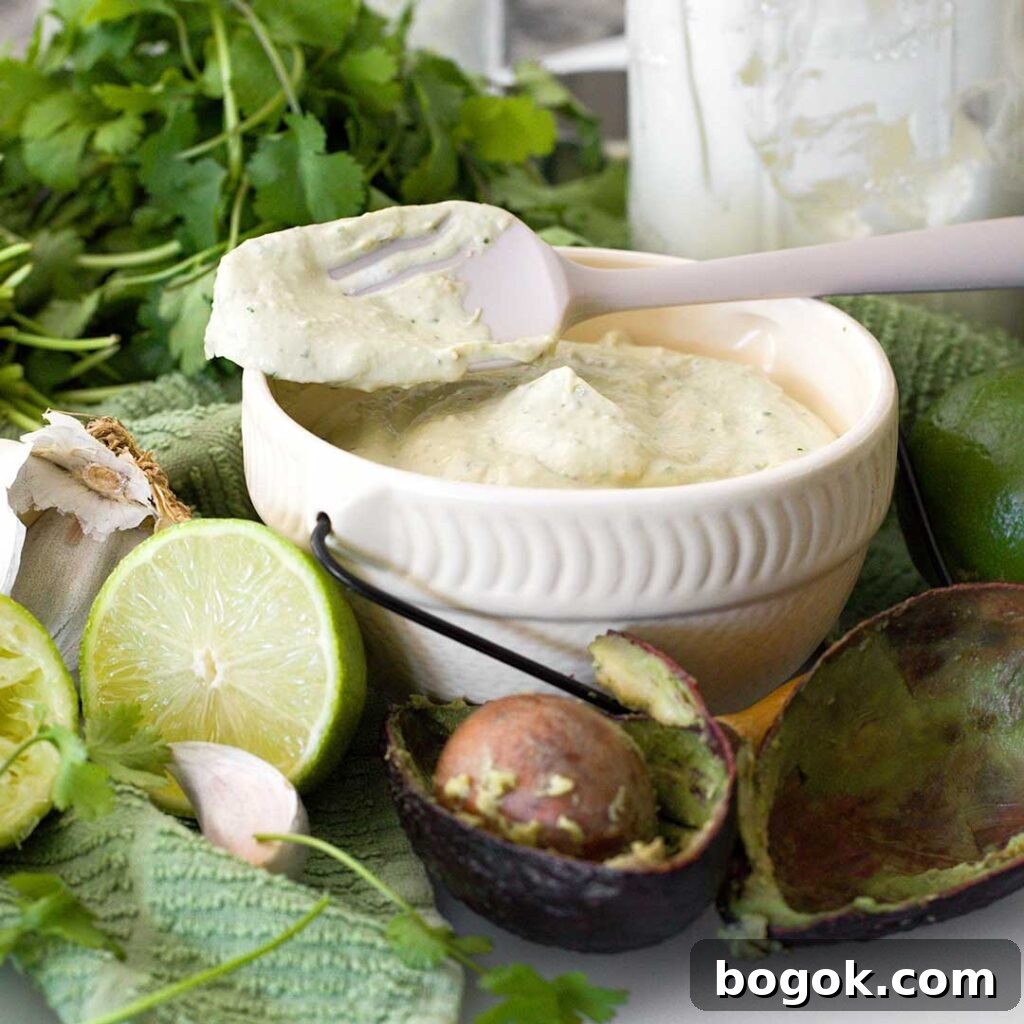 Garlic Parmesan White Bean Dip with Extra Protein 13 bowl of garlic avocado dip made by Nicole Bonilla