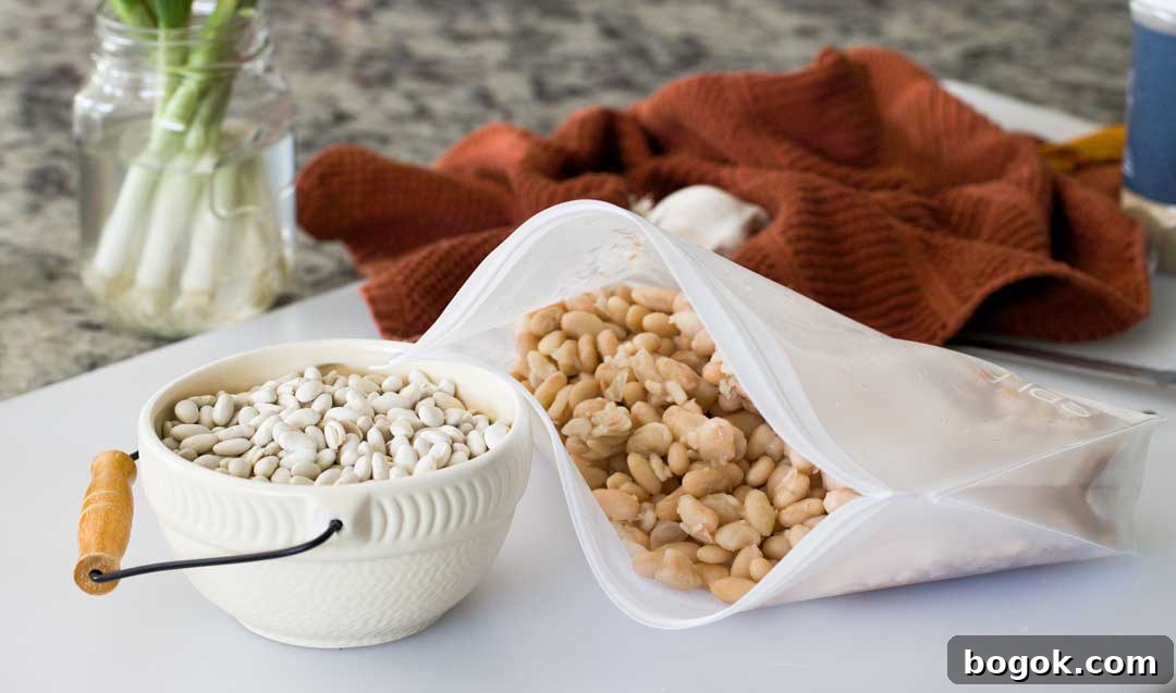 Garlic Parmesan White Bean Dip with Extra Protein 9 A bowl of White beans next to a bag full of cooked white beans.
