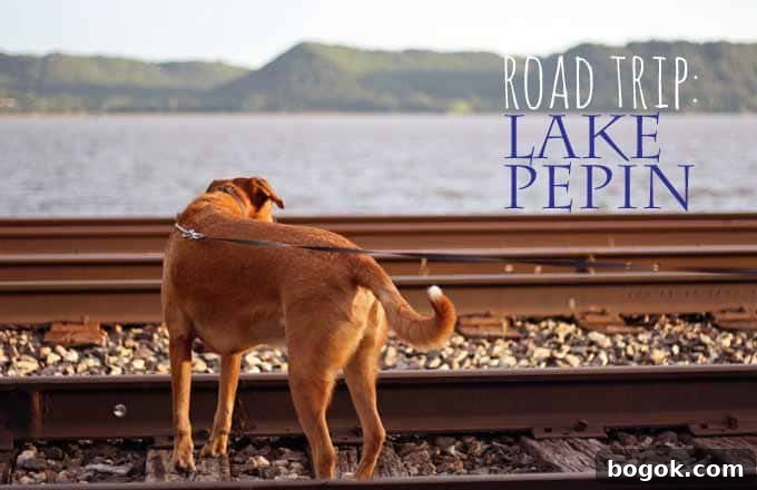 Road Trip - Lake Pepin | Honey and Birch