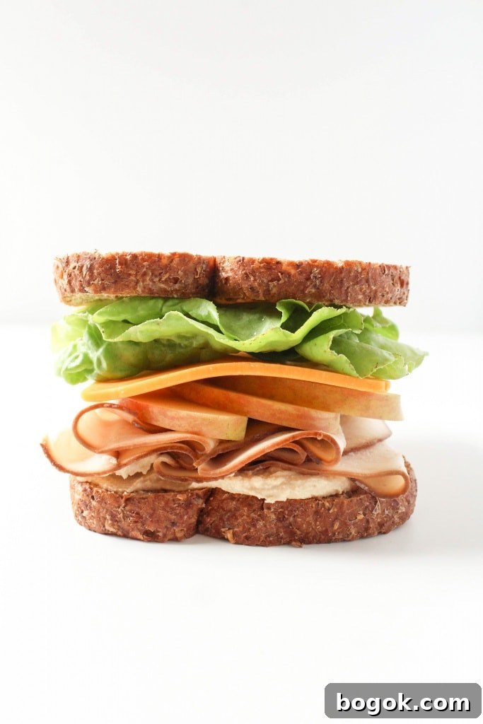 Healthy Sandwich Ideas - Turkey Apple Cheddar Sandwich
