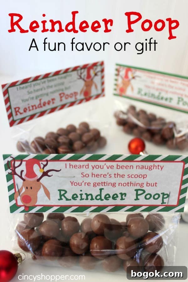 Reindeer Poop Gift Idea with Printable Toppers- A super fun and inexpenisve gift or favor for the holiday!