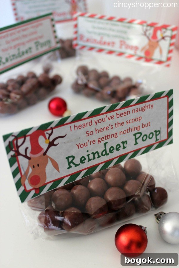Reindeer Poop Gift Idea with Printable Toppers- A super fun and inexpenisve gift or favor for the holiday!