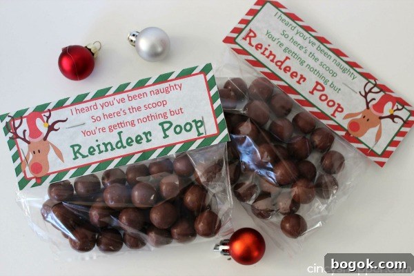 Reindeer Poop Gift Idea with Printable Toppers- A super fun and inexpenisve gift or favor for the holiday!