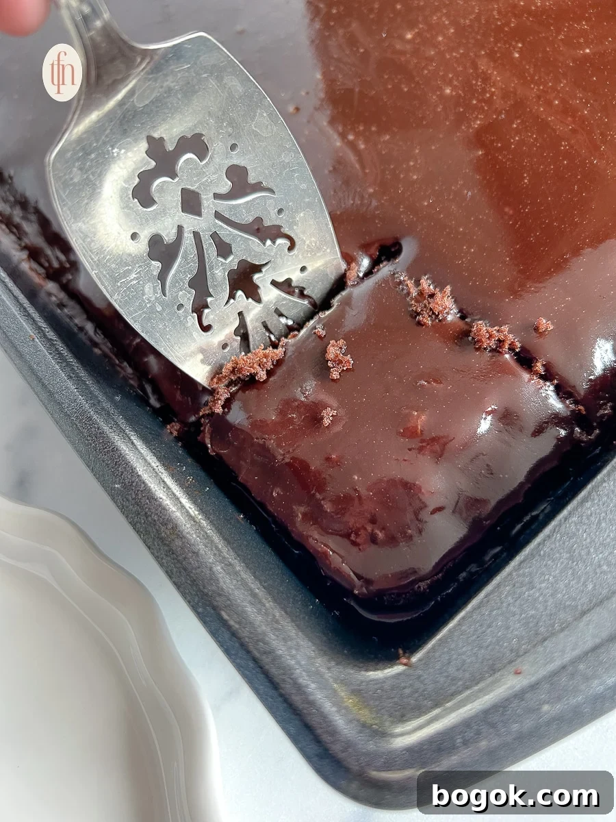Dr Pepper Chocolate Sheet Cake Recipe - Moist Soda Cake Tutorial 3 Silver serving spoon lifting a slice of cake out of the pan.