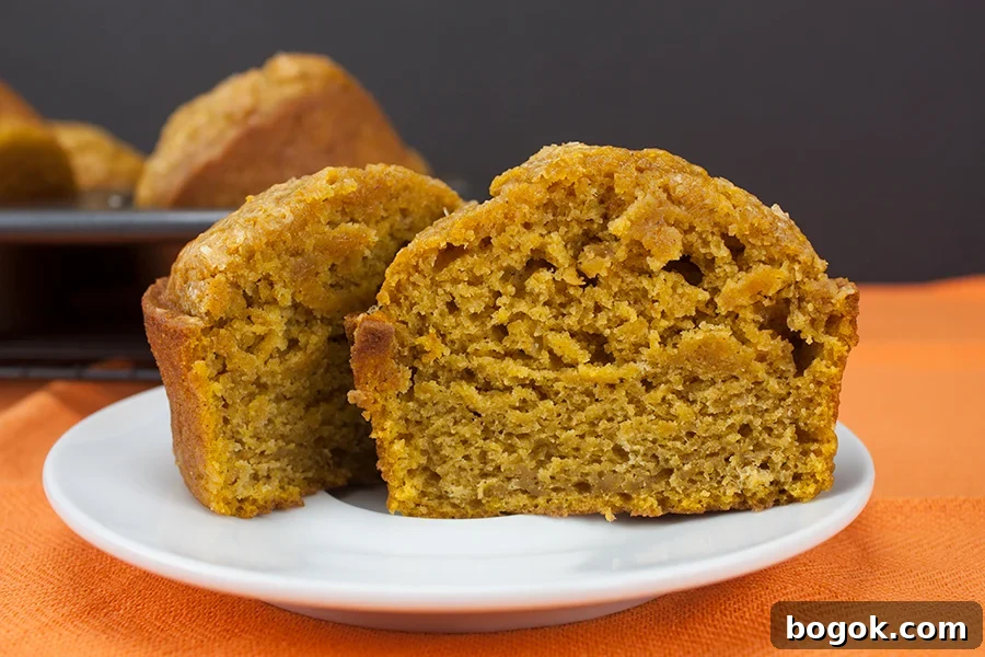 Bakery style pumpkin muffin cut in half on a white plate.