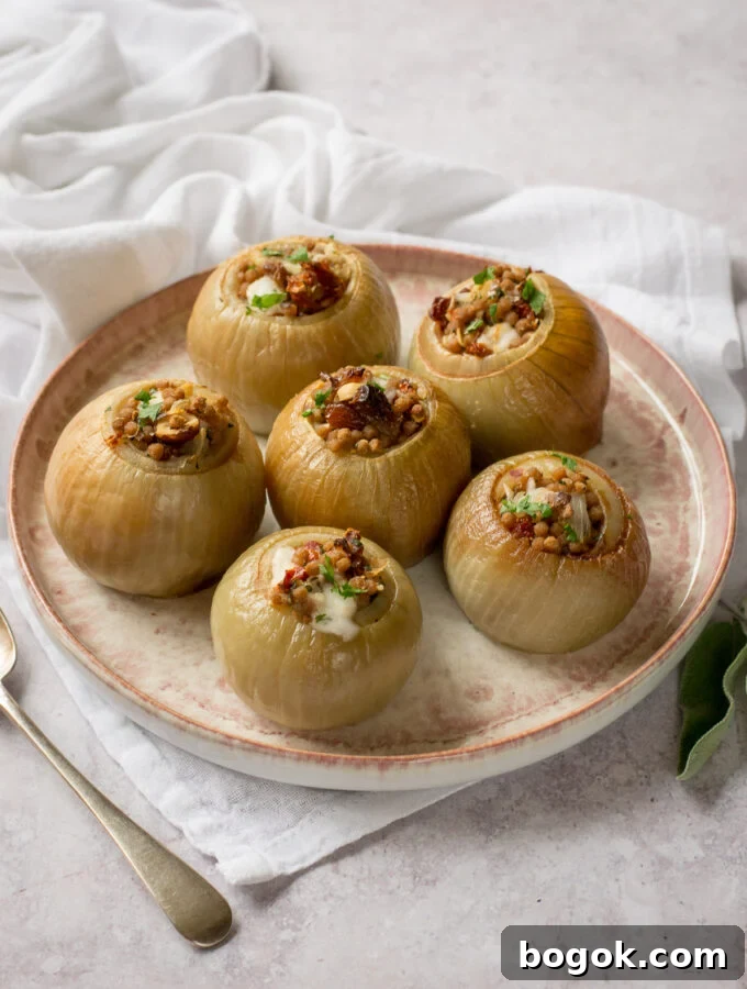 Stuffed Onions
