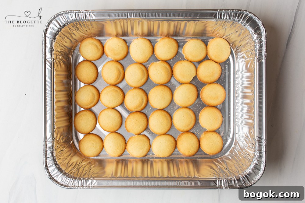 Banana Pudding with Wafers