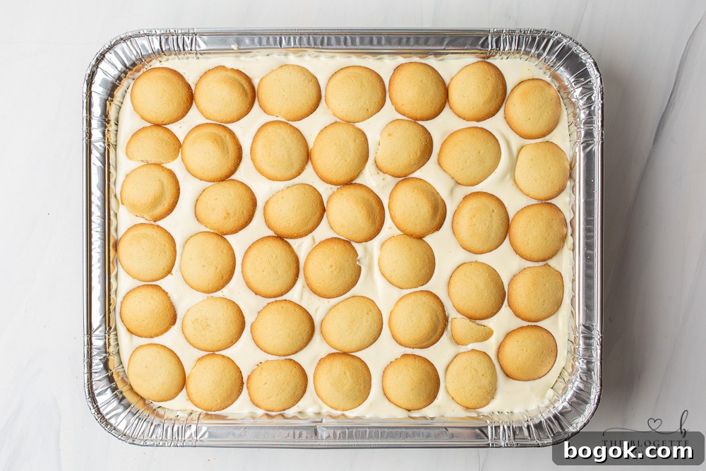 Banana Pudding