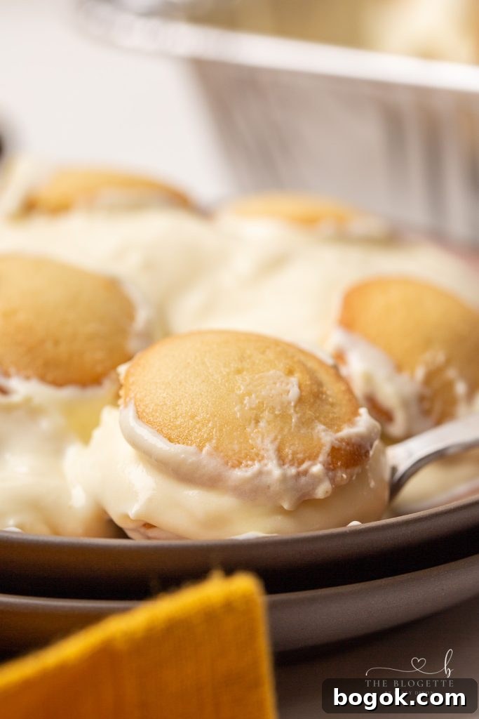 This Banana Pudding recipe is a no-bake dessert that is filled with creamy French pudding, sliced bananas, and vanilla wafers.