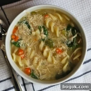 Homemade Chicken Noodle Soup