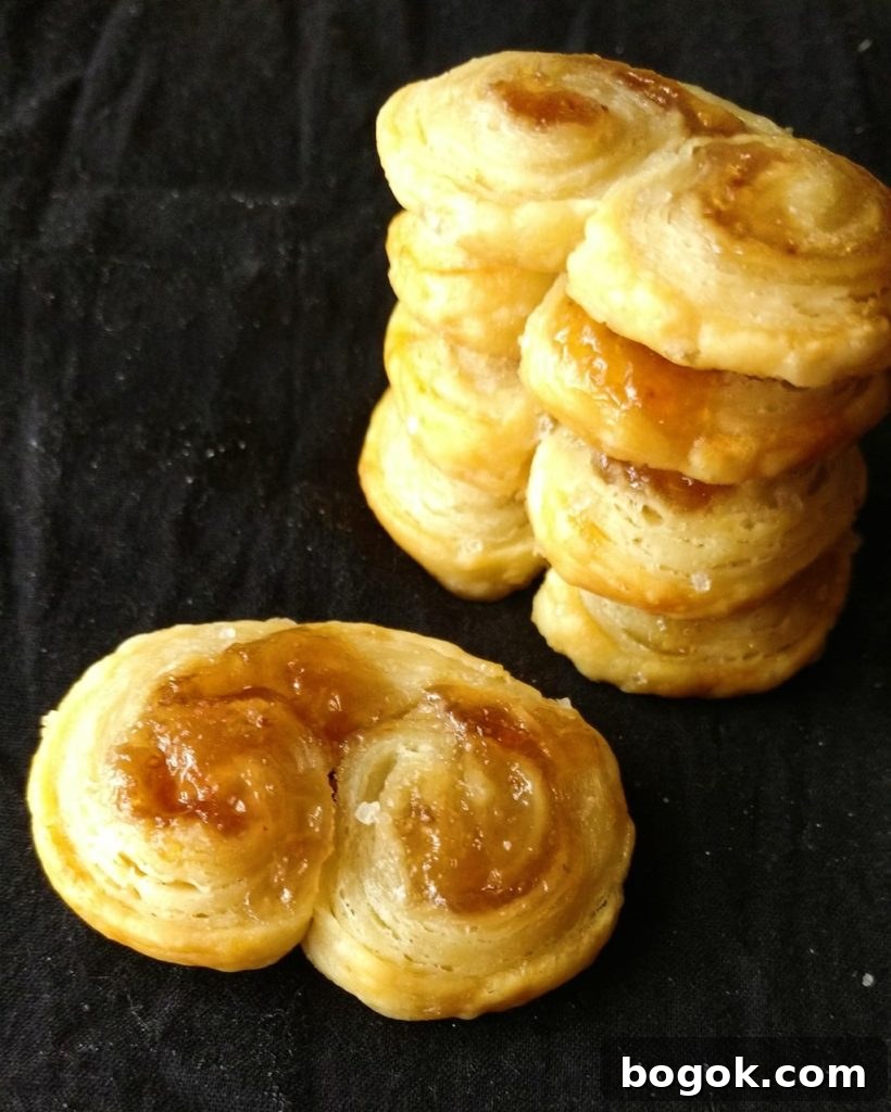 jam palmiers 