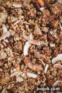 vanilla fig granola veggiekins